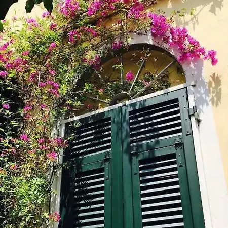 Little Lemon Garden La Spezia